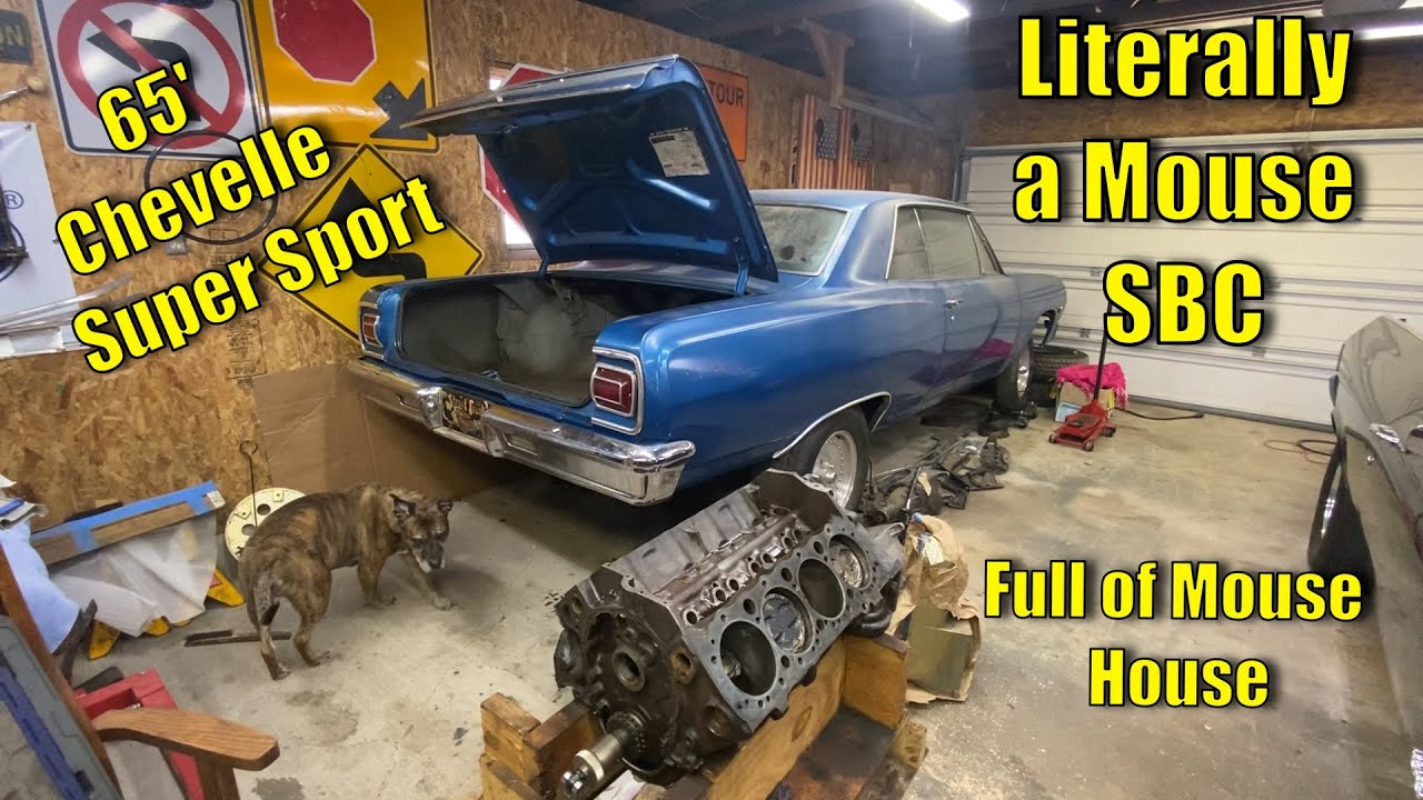 sbc budget build for the 1965 chevelle super sport.. until the LS7 is done..