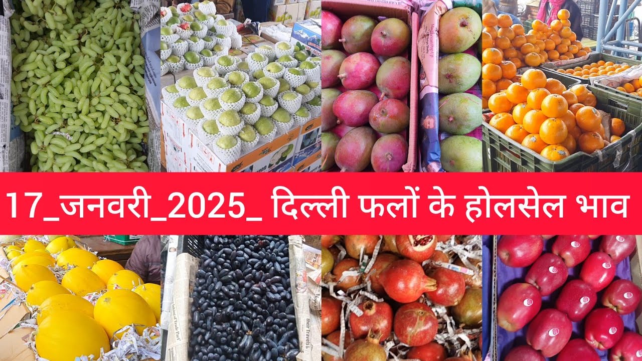 January 17, 2025 दिल्ली फलों के भाव delhi fruit market price APMC delhi fruit market #fruitmarket