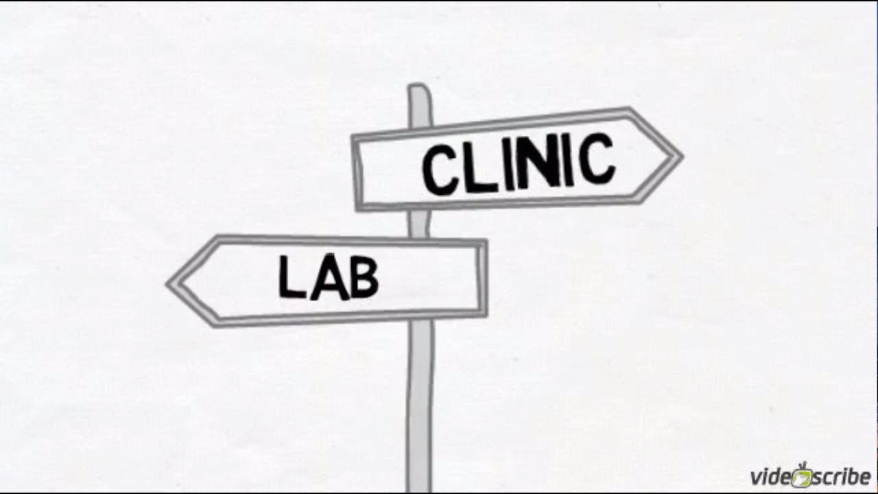 Duke Scholars in Molecular Medicine
