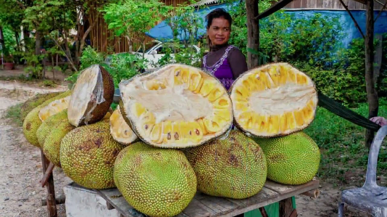 What's the Kingdom of God Like? | Luke 13: 18-21