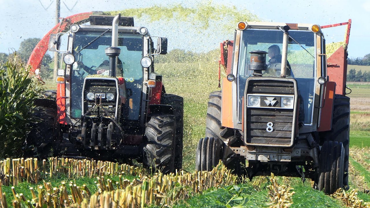 Vintage Tractors making Corn Silage