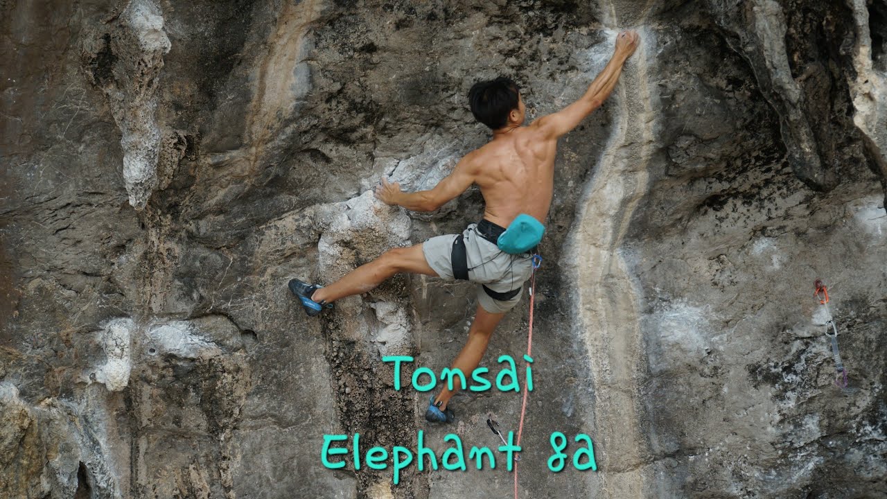 TonSaiWall - Elephant, 8a