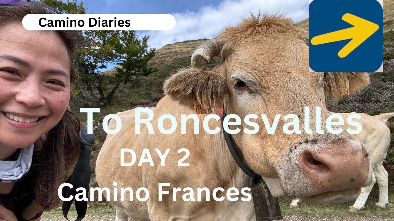 Day 2 | Borda to  Roncesvalles | Camino Frances