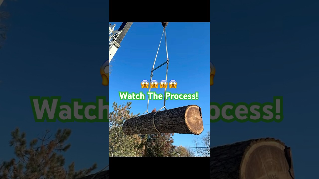 From TREE to TABLE watch this Black Walnut TRANSFORM! #woodwork #liveedge #epoxy #transformation
