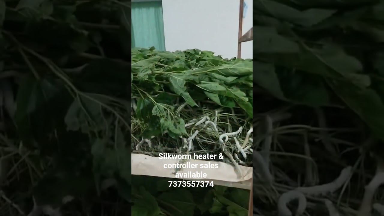 silkworm heater sales available 7373557374