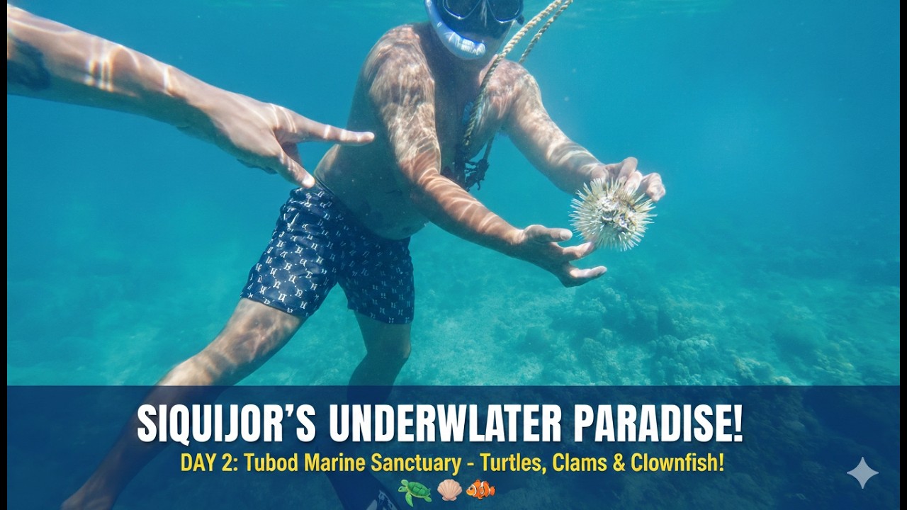 Tubod Marine Sanctuary Siquijor: Best Snorkeling Spot? | Day 2