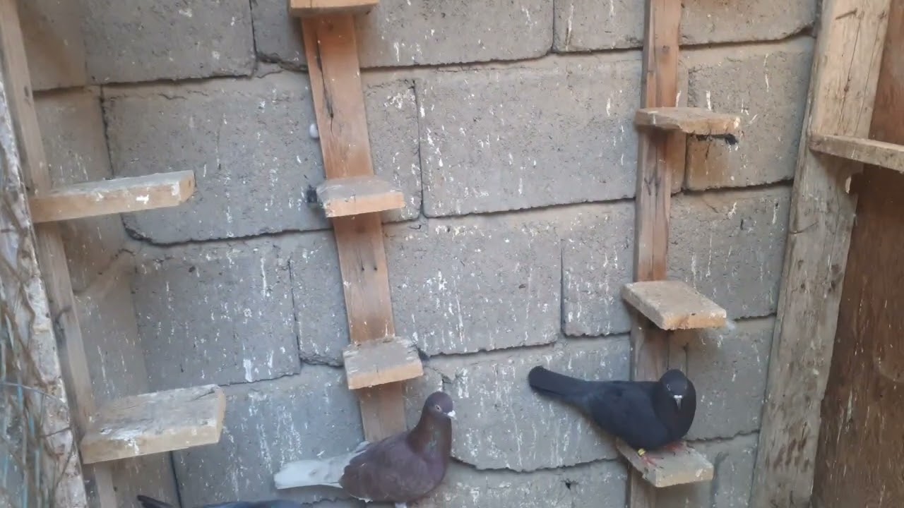 ١٧ مارس ٢٠٢٦