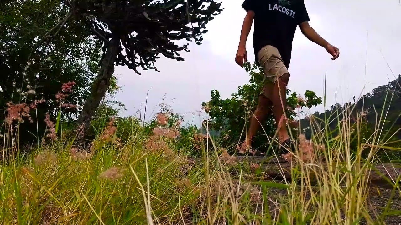 Finding Solitude on a Mountain Top / Walking in Nature & Scenic Views