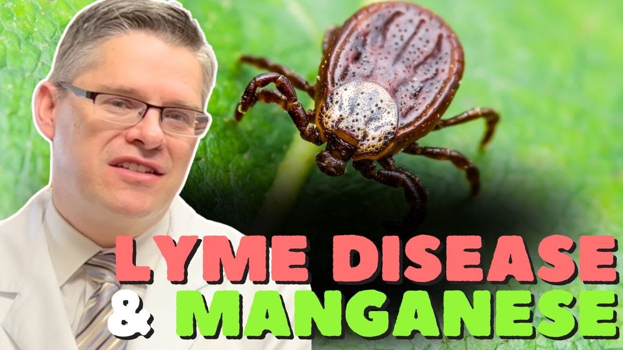 Manganese & Lyme disease