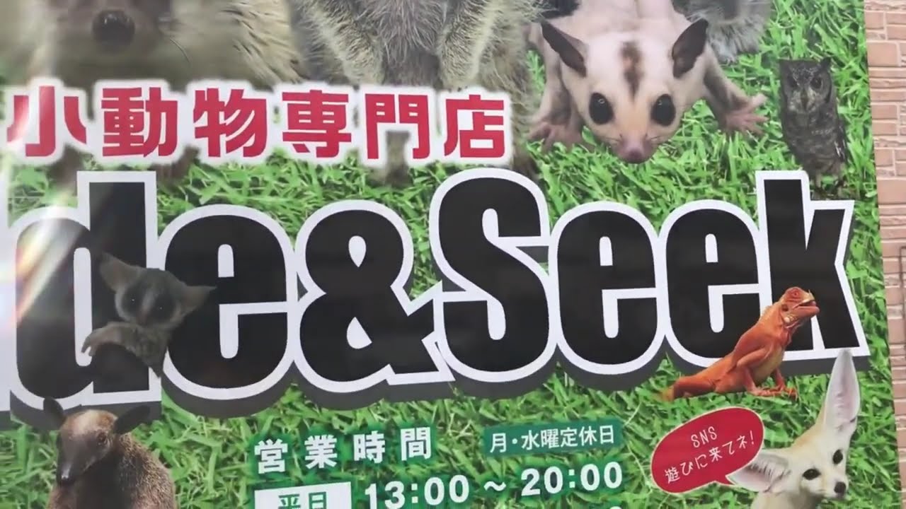 Kakogawa Japan
