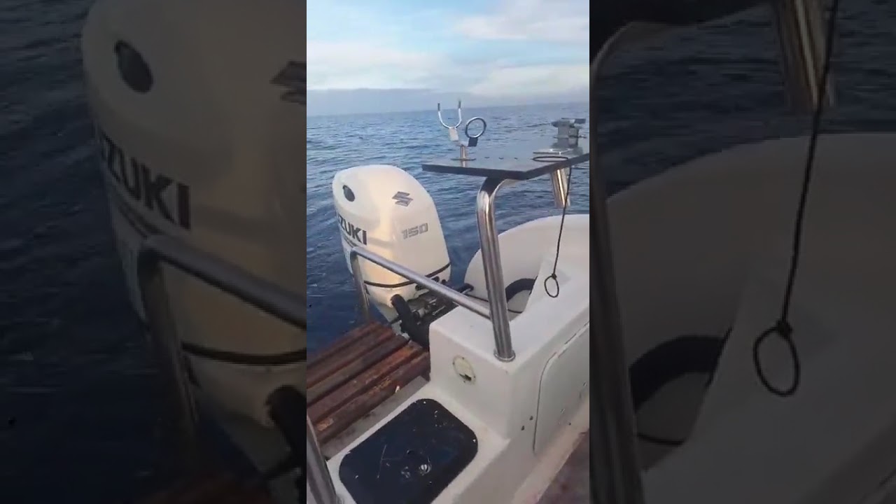 Wild Wahoo take on a Live Bonnie