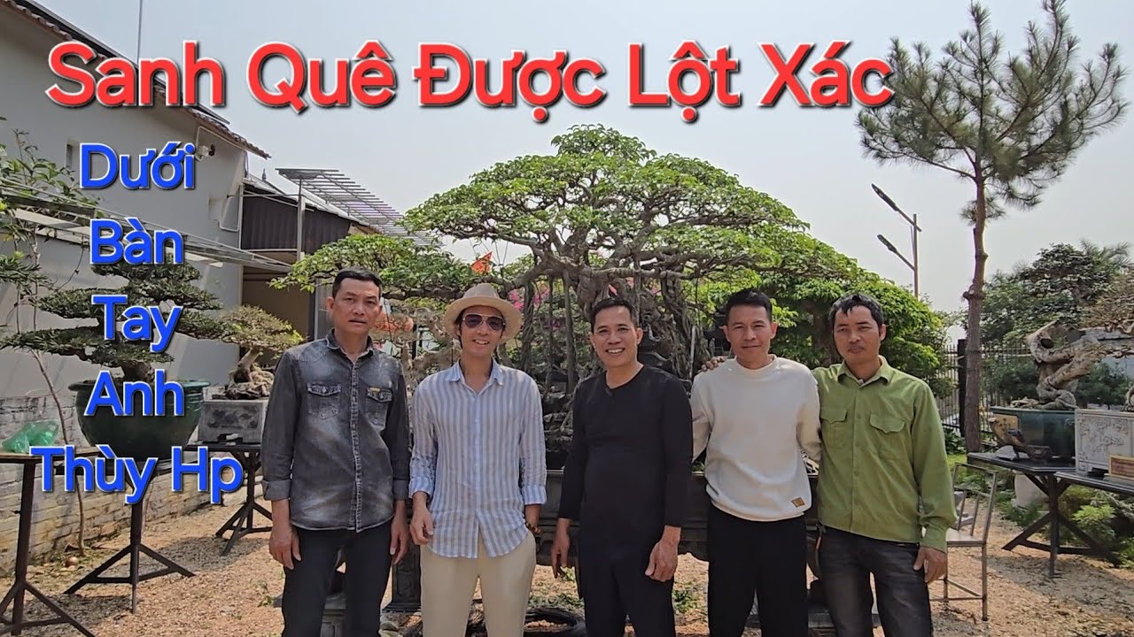 MỌI NGƯỜI VÂY QUANH xem anh THÙY HP làm cây - LỘT XÁC TP CỔ MỘC CHÍ LINH cho anh AN TÂY .