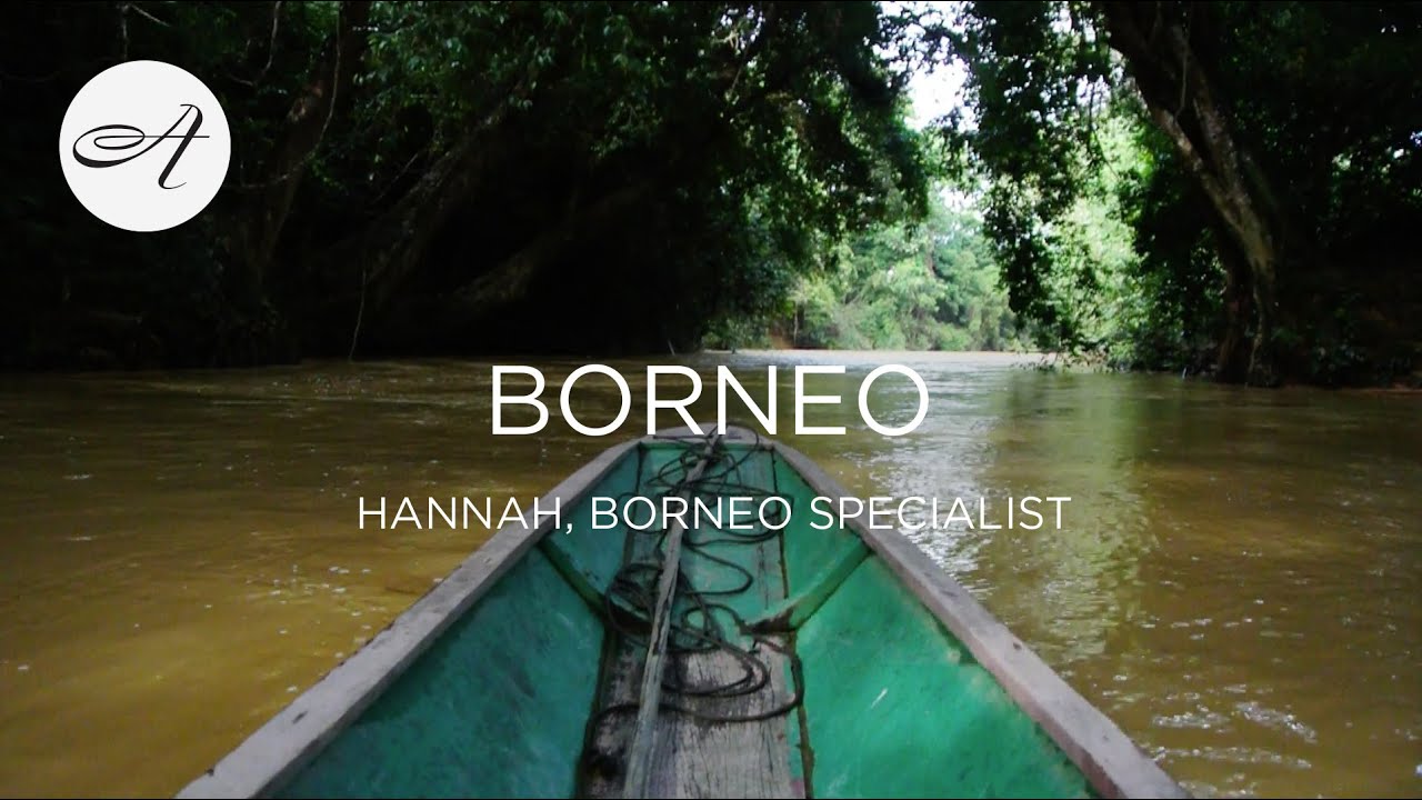 My travels in Borneo with Audley Travel