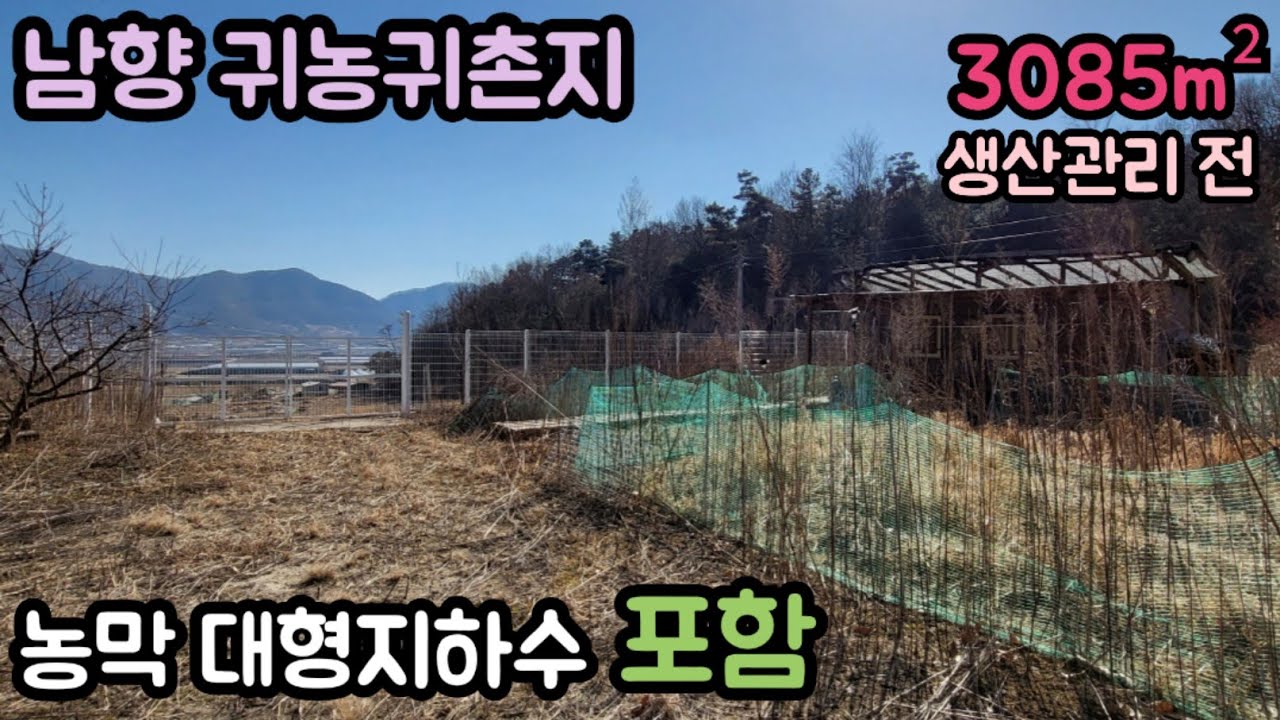 (매물번호13671) 보은부동산 3085㎡(933) 보은땅 보은토지매매매물 청주부동산 청주토지 청주땅 시골땅 촌땅 귀농귀촌 전원주택지 대전부동산 대전토지 대전땅 1억1천만원