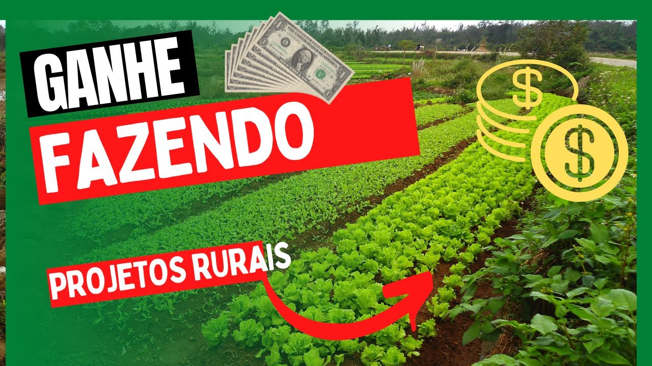O SEGREDO DE COMO FAZER UM PROJETO RURAL