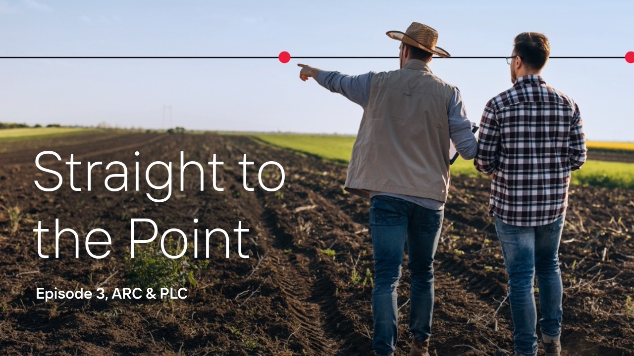 Straight to the Point: Episode 3, ARC & PLC