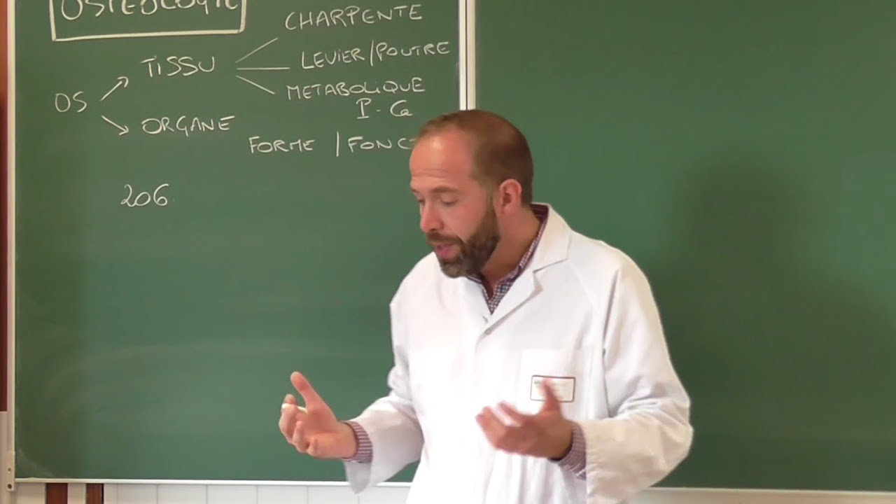 Anatomie générale 1 - Cours d'ostéologie générale