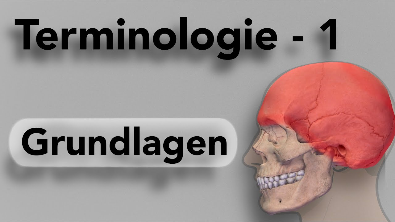 Terminologie 1 - Grundlagen