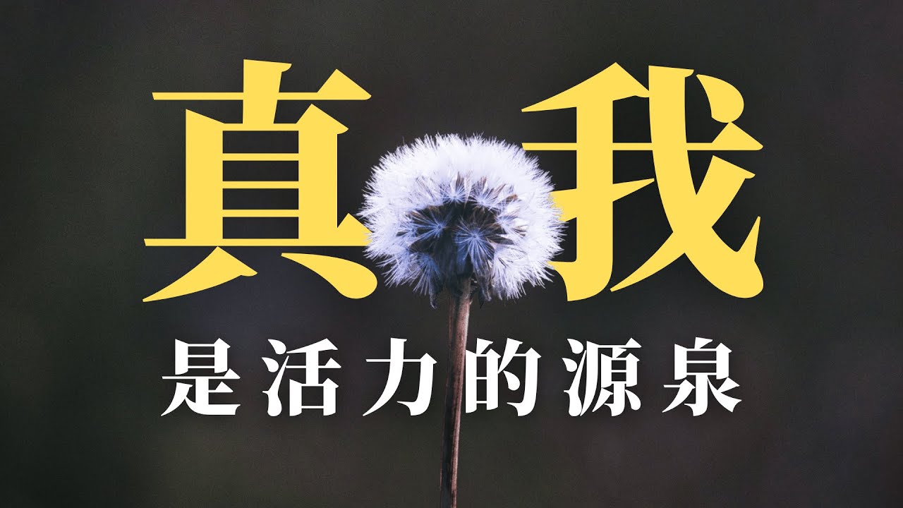 为什么越懂事的人活得越累？你的“乖”正在毁掉你的真我