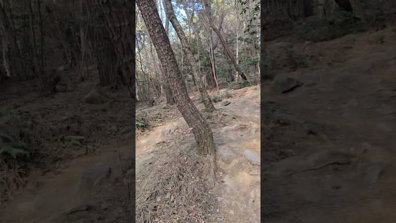 파이프라인을 구축하자