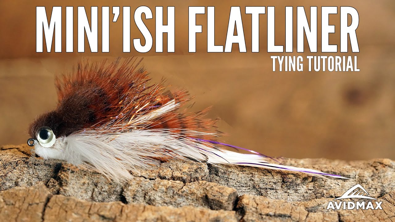How to tie a Mini'ish Flatliner | AvidMax Fly Tying Tuesday Tutorials