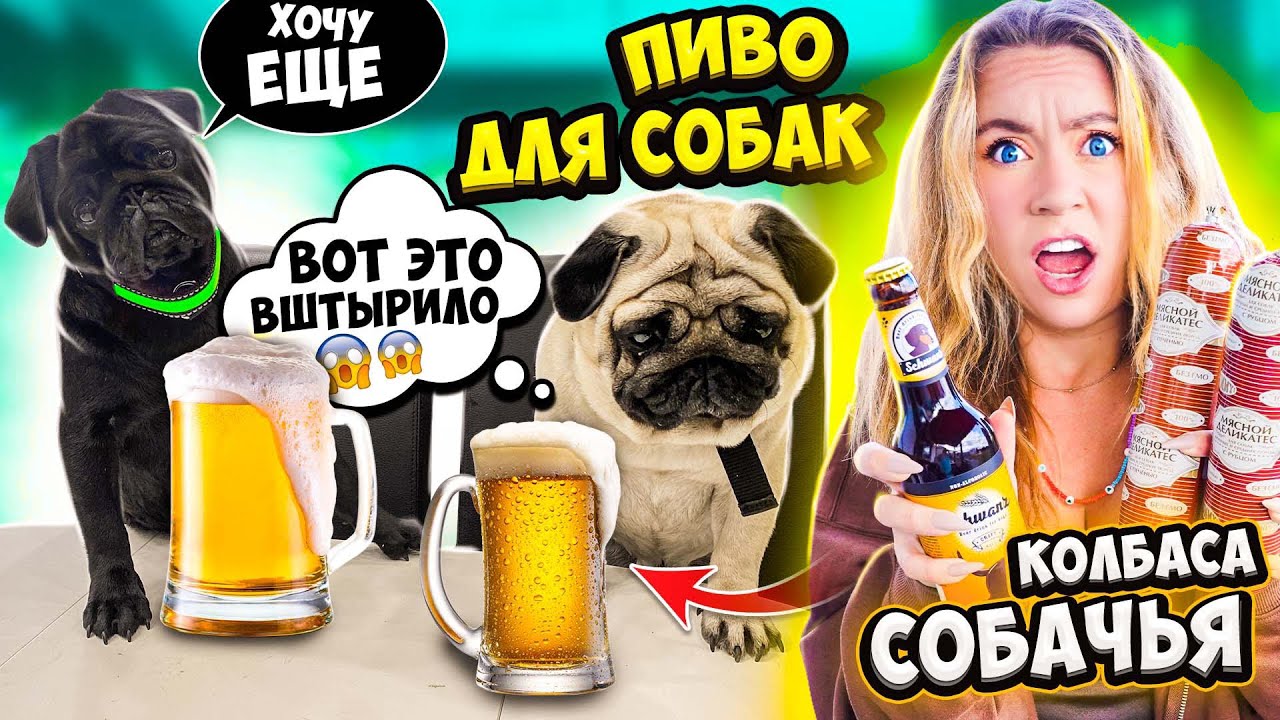 Выпила ПИВО Для СОБАК! и СОБАЧЬЮ КОЛБАСУ ! ПРОБУЕМ СТРАННЫЕ ВКУСНЯШКИ Челлендж !