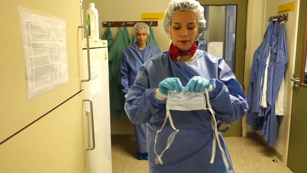 Molmed airlines: safety demonstration