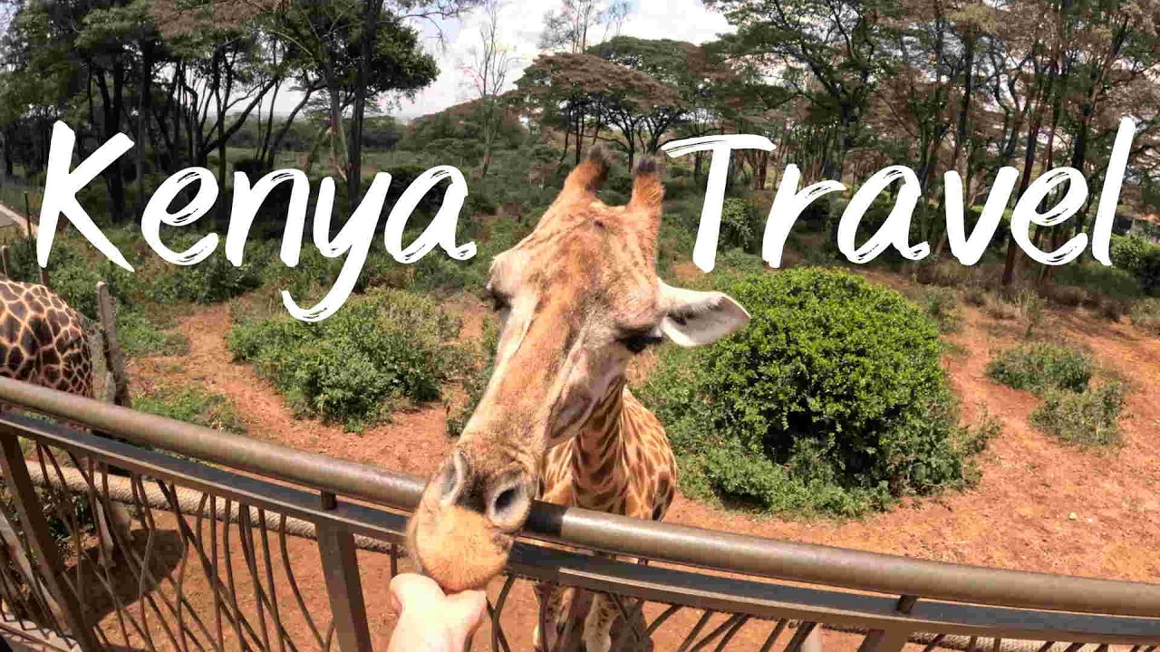 2 Weeks in Kenya 🇰🇪  | Travel Video & Travel Tips #Nairobi #Nakuru #Mombasa #Dianibeach