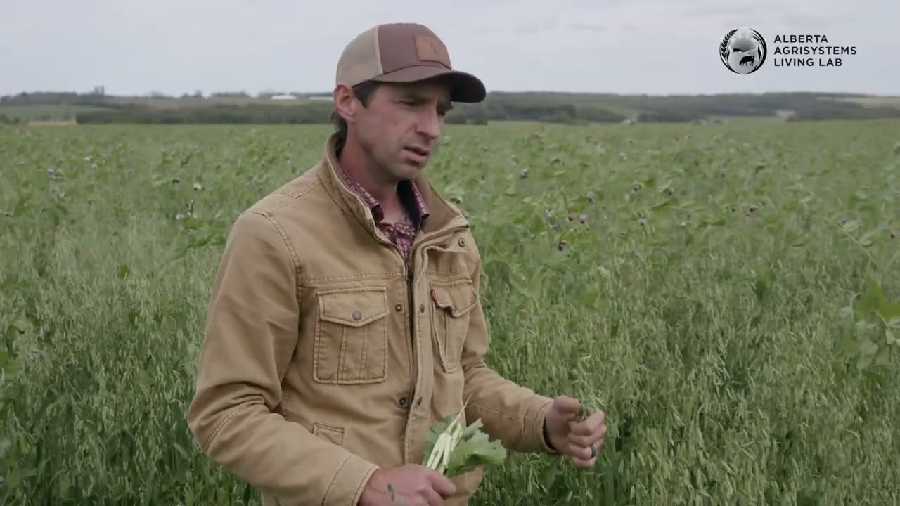 Polyculture Grazing at Blindman Beef Ranch: Meet the Project.