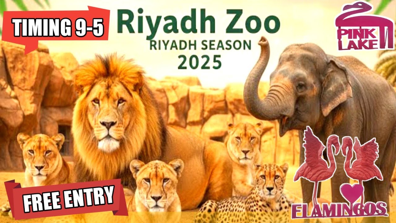 Riyadh Zoo Tour | Riyadh Zoo Season 2025 - 2026 |Biggest Zoo in KSA | New Look 