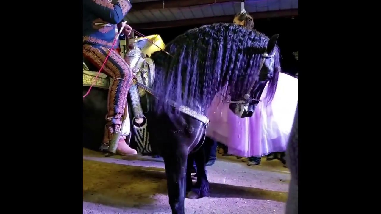 ENTRADA DE QUINCEÑERA A CABALLO Y ENTRANDO CON EZEQUIEL PEÑA