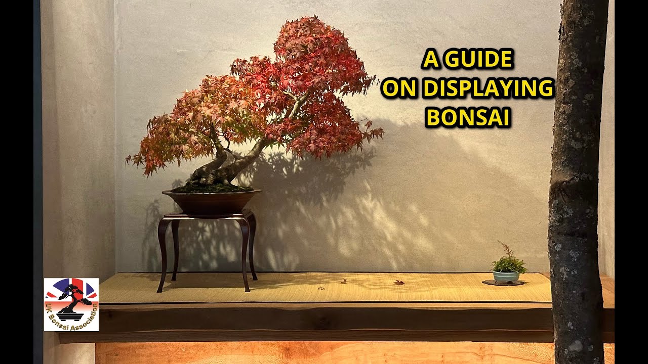 UK BONSAI ASSOCIATION WORKSHOP WITH PETER WARREN
