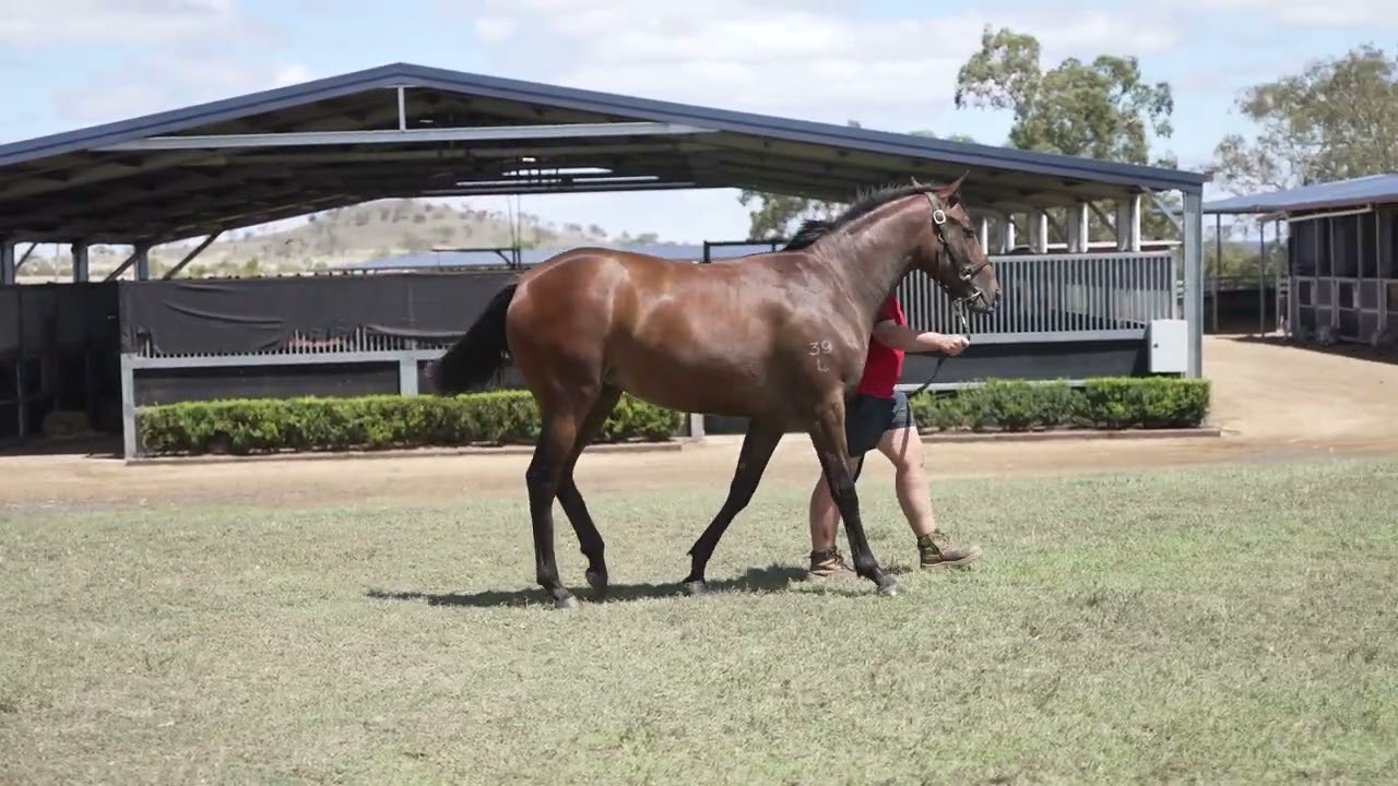 Lot  49
