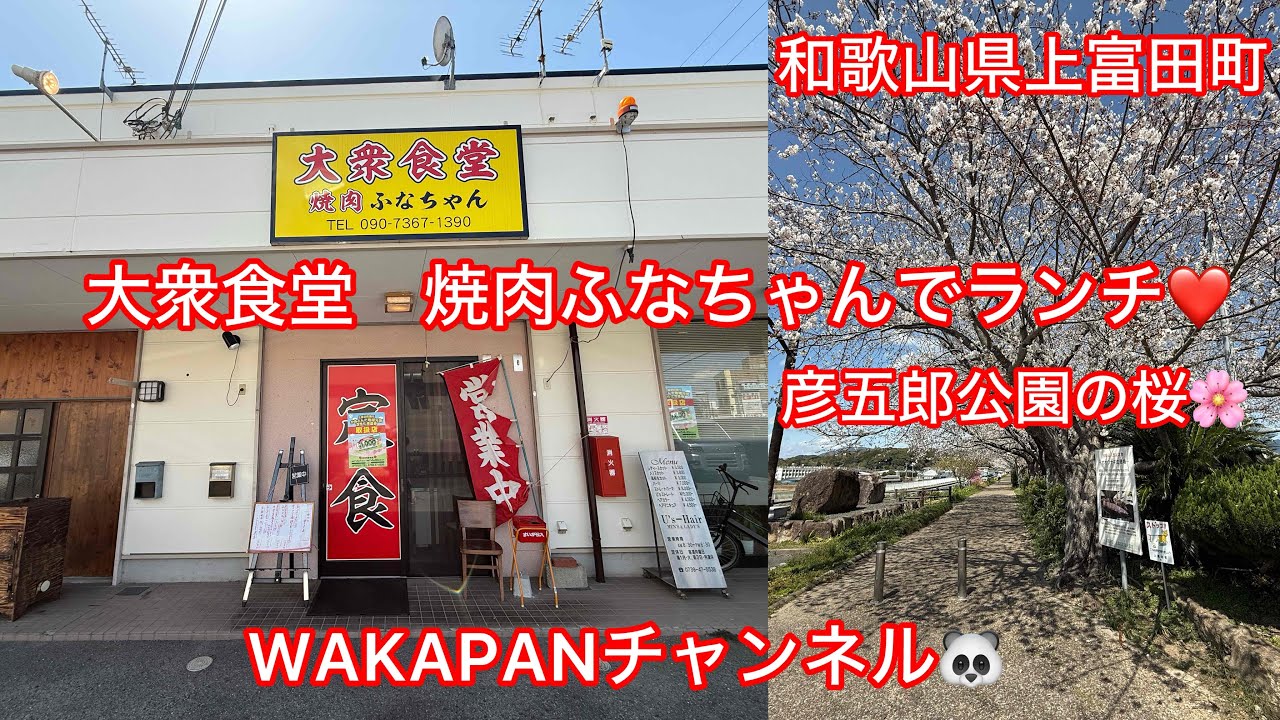 和歌山県上富田町　大衆食堂　焼肉ふなちゃんでランチ❤️ 彦五郎公園の桜🌸WAKAPANチャンネル🐼