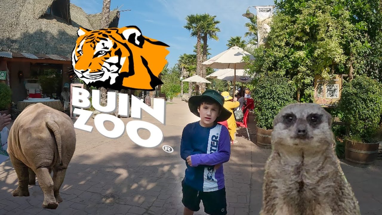 Recorrido por BuinZoo 4k Chile Zoologico