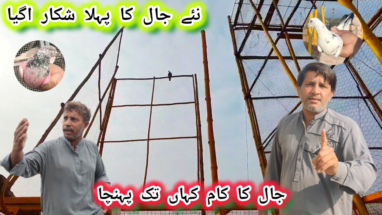 New Jaal Se pahla Kabooter pakar liya 🕊️
