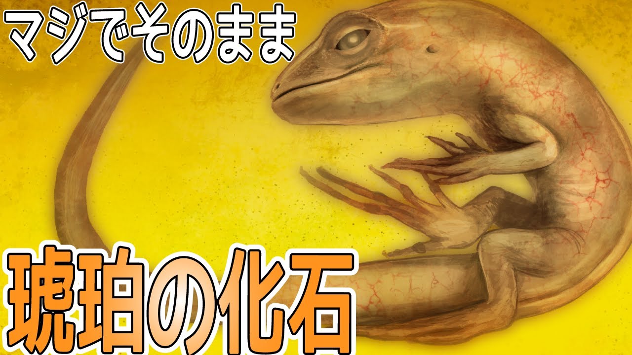 【本物のタイムカプセル】琥珀が暴いた“古代の瞬間”がヤバすぎた【琥珀の化石】