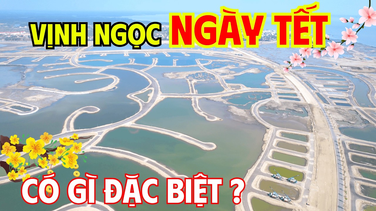 CẬP NHẬT VỊNH NGỌC (KHU B) NHỮNG NGÀY TẾT – HÀNH TRÌNH BIỂU TƯỢNG TOÀN CẦU ĐANG THÀNH HÌNH