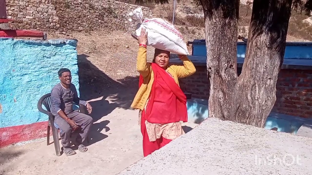 आज कल मिर्ची की बुवाई बाकी तो बंदर और सुअर रहने नहीं देते