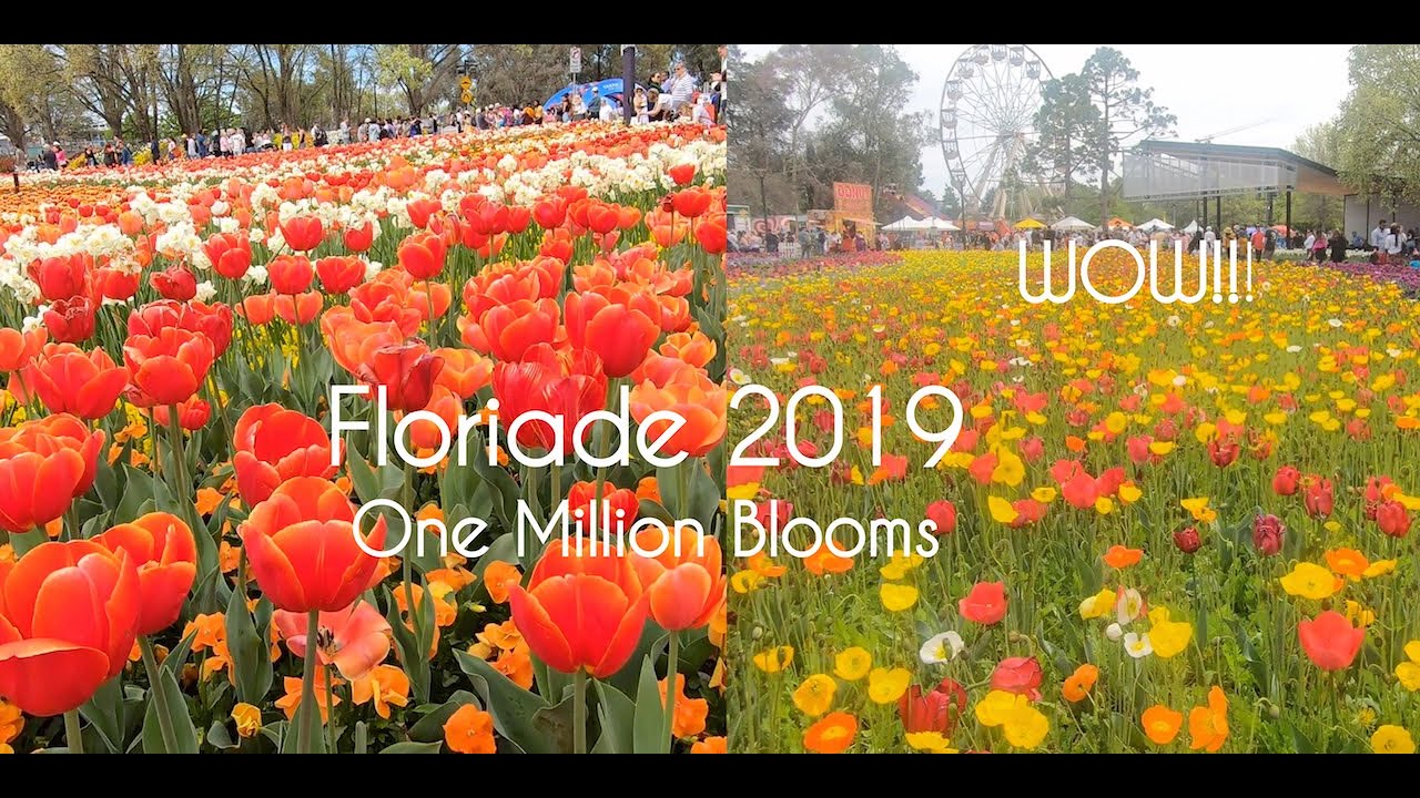 Floriade 2019 Full Walking Tour Australia's Biggest Celebration of Spring Canberra ACT
