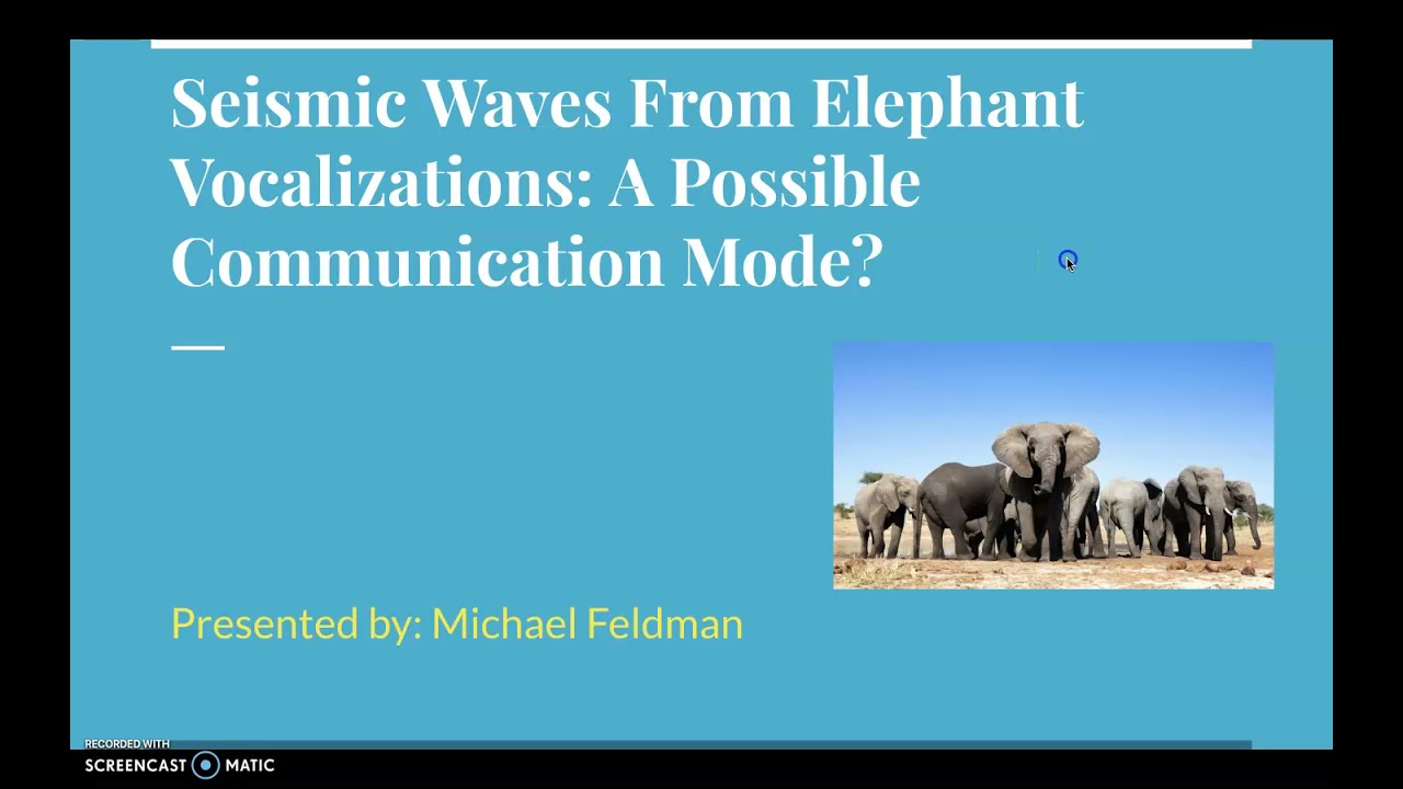 Seismic Waves From Elephant Vocalizations: A Possible Communication Mode?
