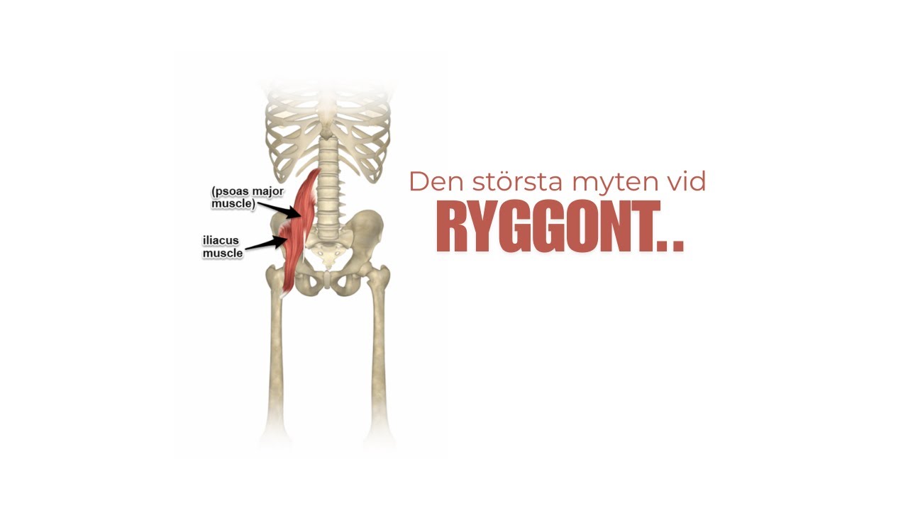 Svankig Och Värk i Ländryggen? | 3 Övningar
