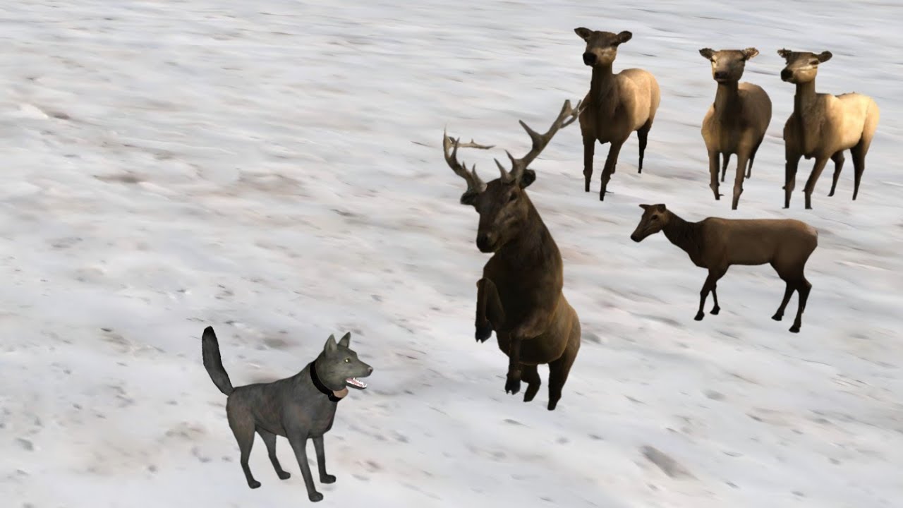 Սպանում ենք եղնիկների երմակը WolfQuest classic 2.7 