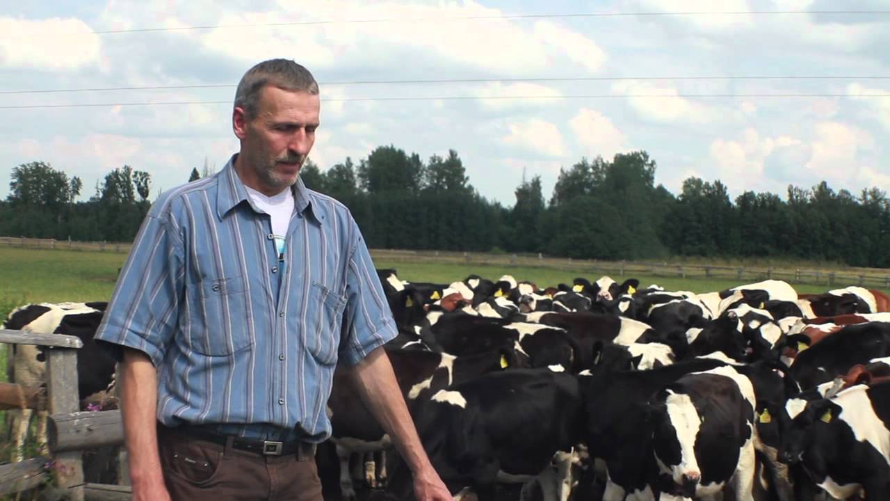 Sürgavere Põllumajandusühistu.