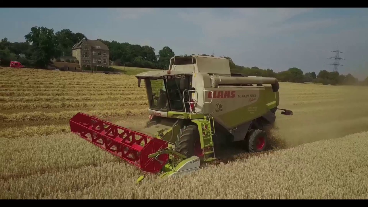 Weizen- und Triticaleernte am Paashof
