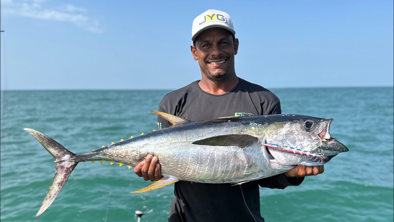 Tutoríal con la SHORE PRO MÉDIUM DE @JYG PROFISHING en la pesca de atunes en light jigging .