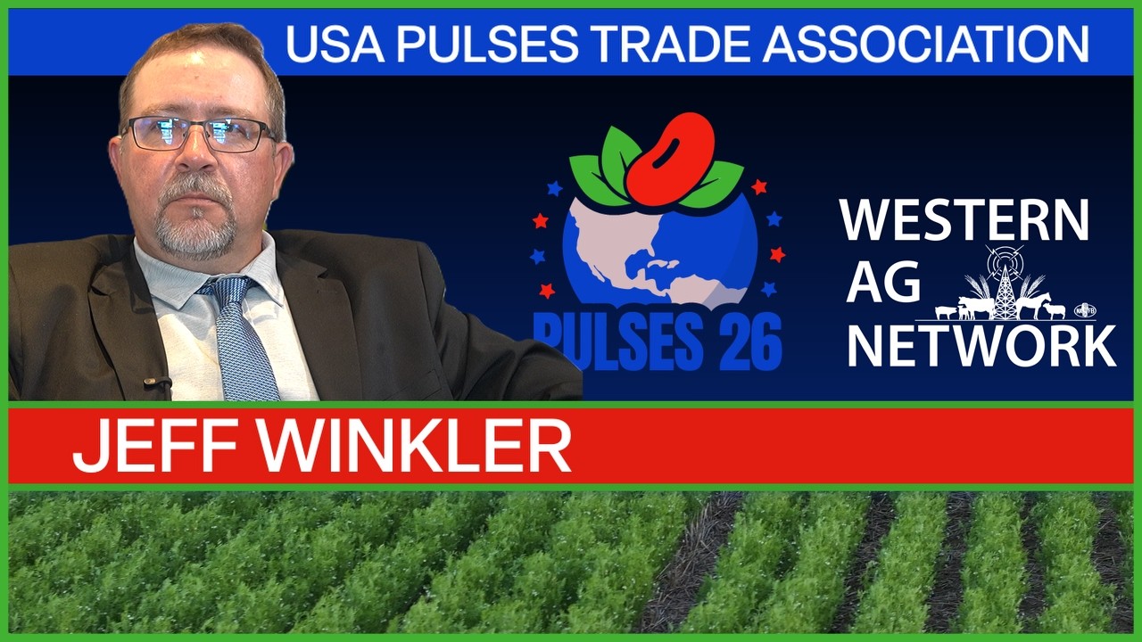 Глобальный спрос стимулирует рынок бобовых культур в США на конференции Pulses &rsquo;26 в Орландо.