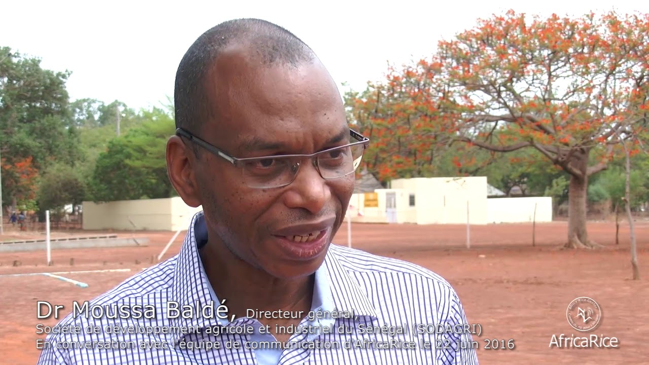 Dr Moussa Baldé, Directeur général, SODAGRI