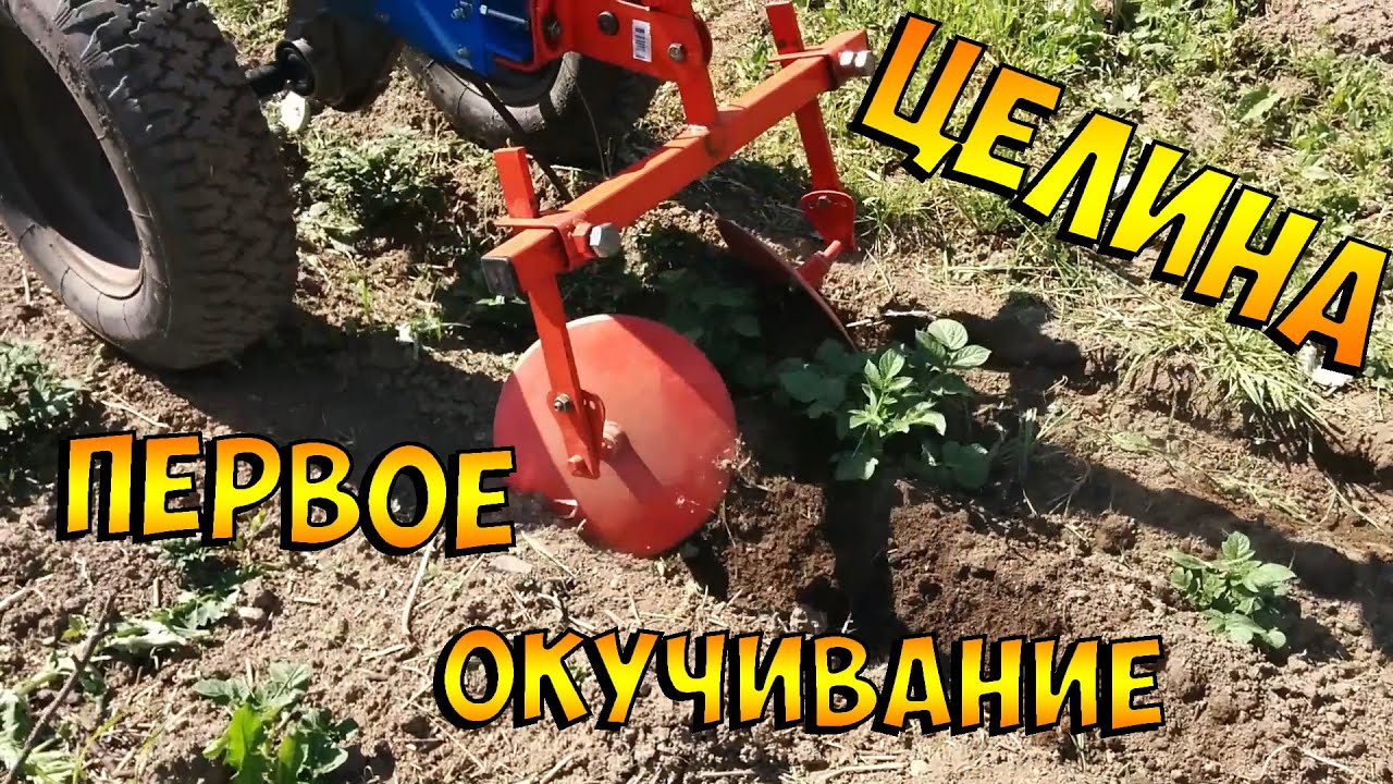 Картошка на целине. Первое окучивание дисковым окучником