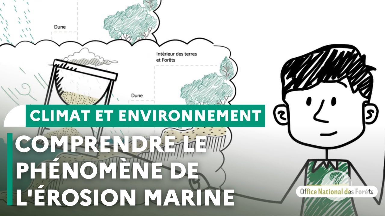 Comprendre le ph&eacute;nom&egrave;ne de l'&eacute;rosion marine